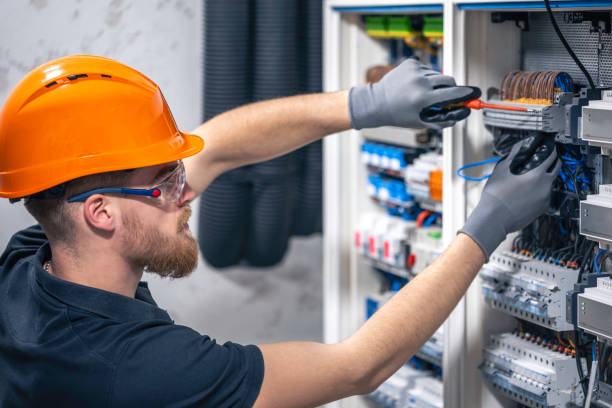 Best Ceiling Fan Installation Electrician  in Dayton, WA